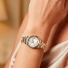 Billede af Jaguar Acamar Classic dameur J1059/2 5 bar 29mm
